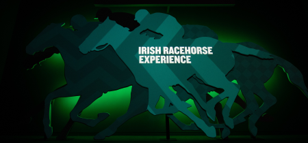 Irish Racehorse Experience Gift Voucher