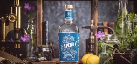 The Gin School Experience