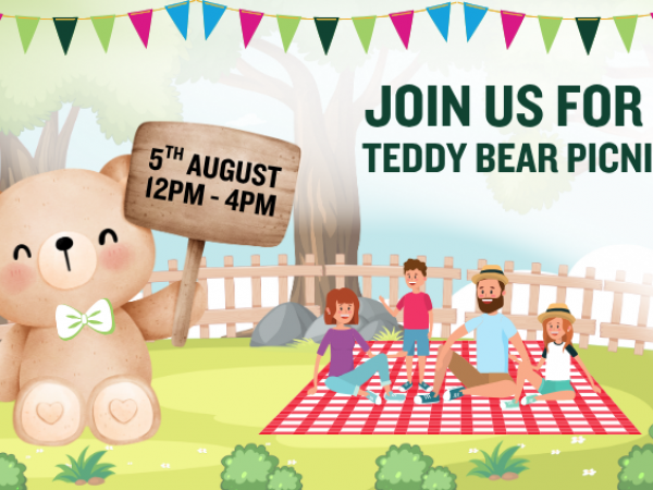 Teddy Bears' Picnic (5th August)