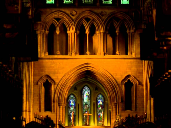 Night Tours