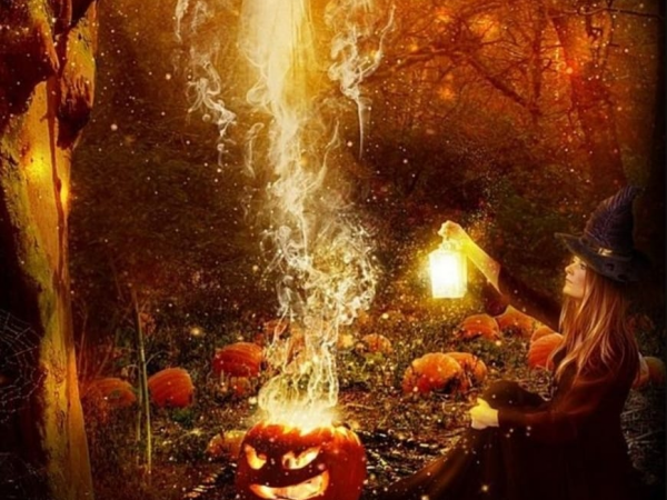 Samhain Delta Sensory Gardens Carlow