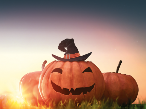 Halloween Spooktacular General Admission & Irish Racehorse Experience 2024