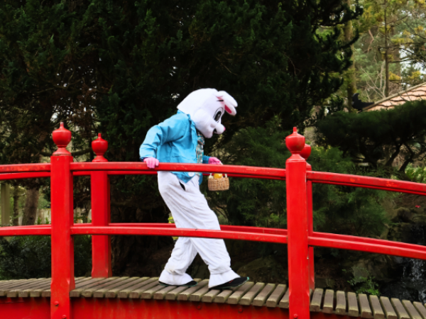 Easter at the Stud 3rd - 6th April 2026