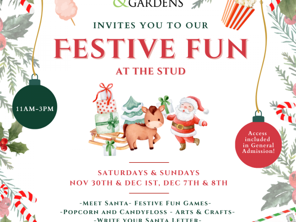 Christmas Fun at the Stud