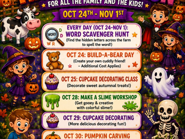 Halloween Mid-Term Fun