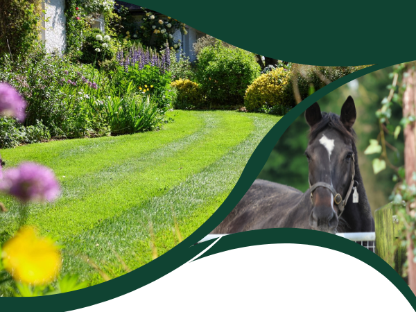 Transforming Stud Landscapes (10th September)