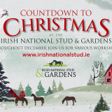 Countdown to Christmas at the Irish National Stud & Gardens