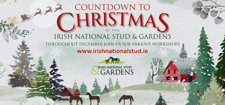 Countdown to Christmas at the Irish National Stud & Gardens