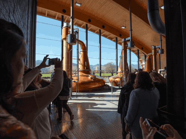 Distillery Tour & Tasting