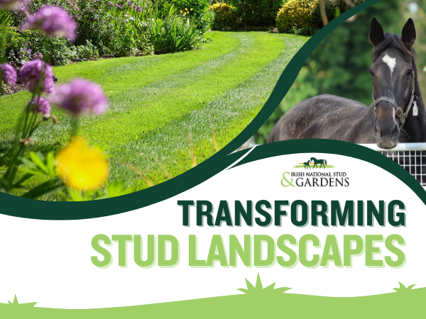 Transforming Stud Landscapes