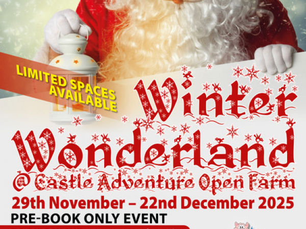 Winter Wonderland at Castle Adventure