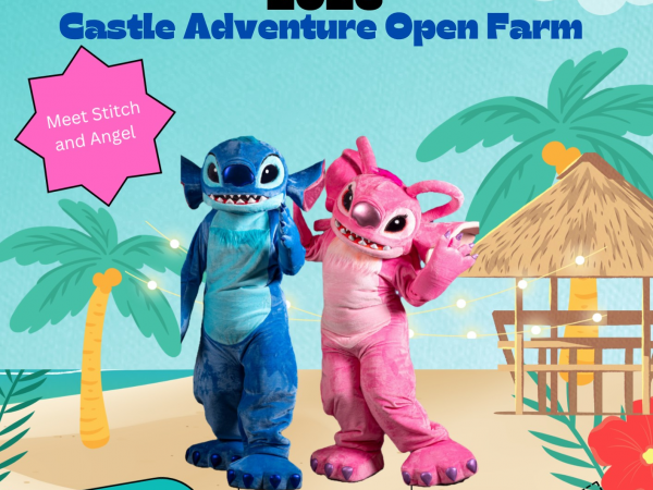 Stitch and Angel