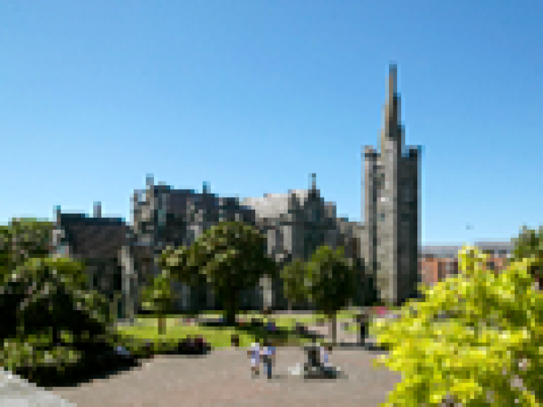 Dublin Festival of History: Behind the Scenes of Saint Patrick’s Cathedral